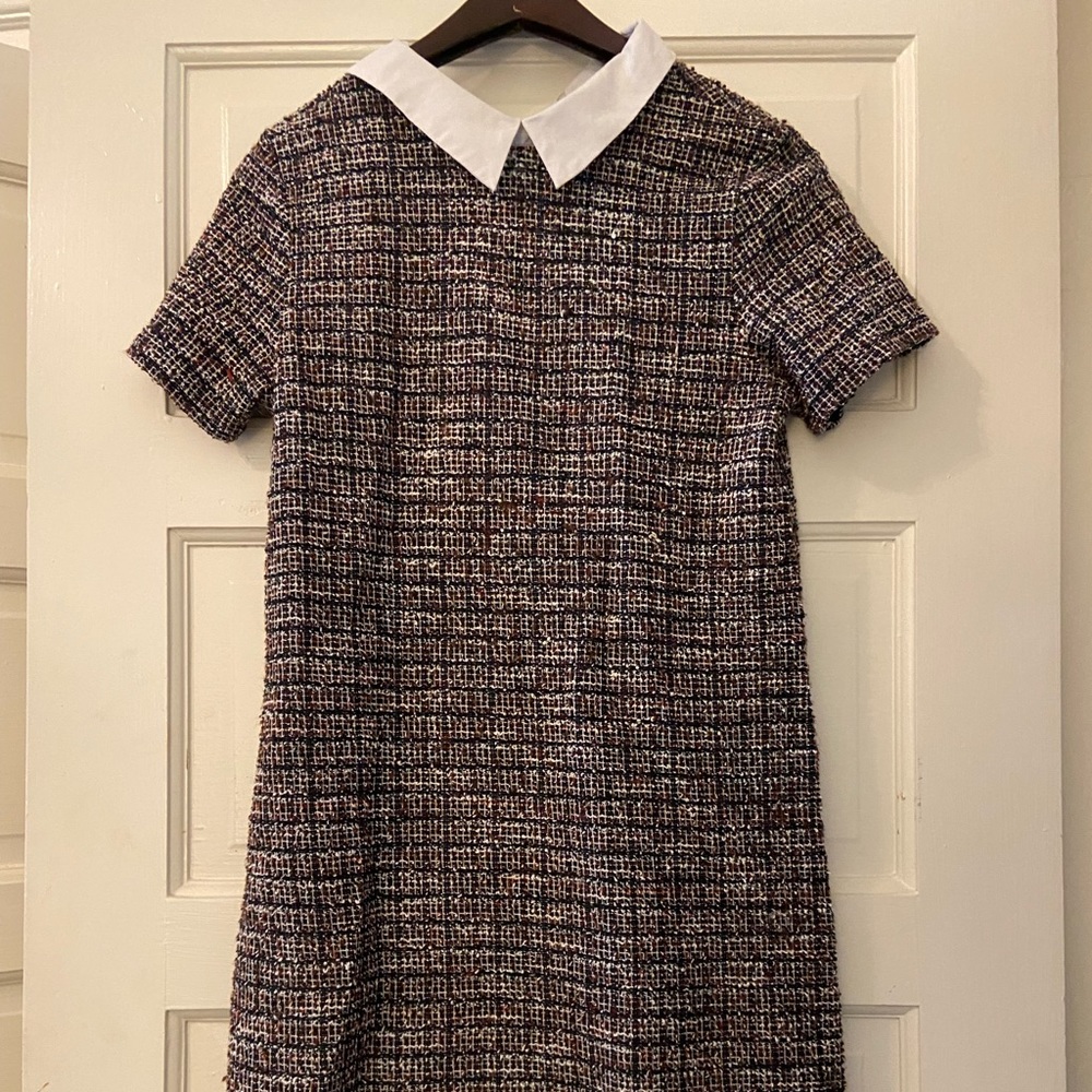 Cute knee length stretchy tweed Zara dress with poplin collar size medium
